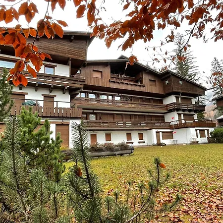 Cortina Luxury Apartment Cortina d'Ampezzo